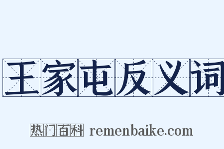 王家屯反义词是什么意思的图片